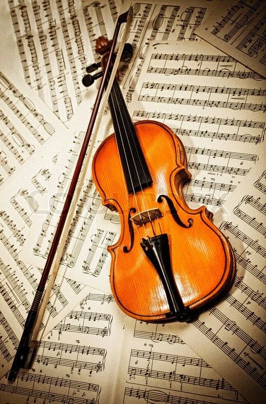 Violin